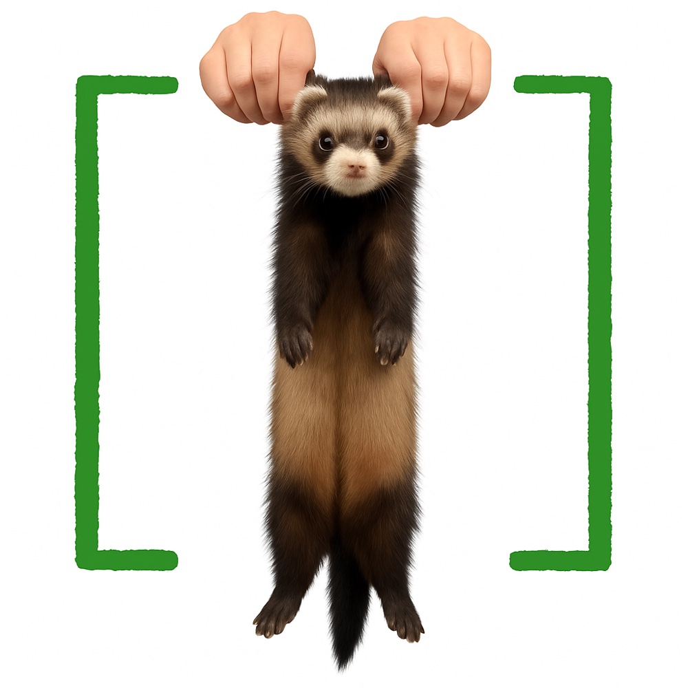 A domestic ferret held vertically by two hands gripping it under the front legs, flanked by two thick crooked green brackets, cut out on a flat white background
